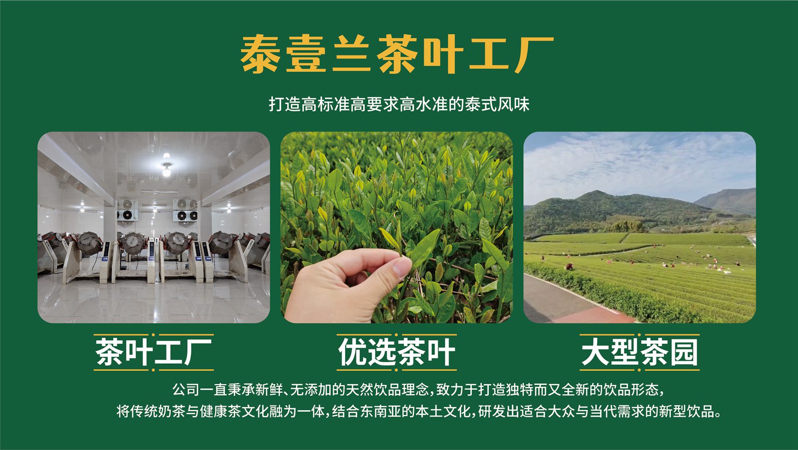 招商加盟(圖15)